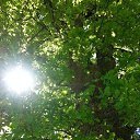 ���� Zoya Vavilova, ����������, 68 ��� - ��������� 26 ��� 2017 � ������ ���� ����������