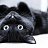 ���� Black Cat, ������������, 24 ���� - ��������� 5 ������� 2017