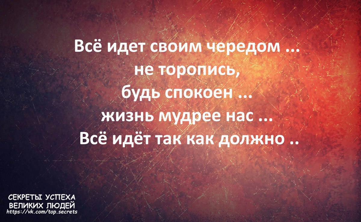     - 1  2017  14:42