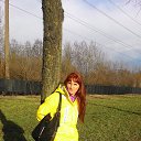  , -, 55  -  28  2017    2017