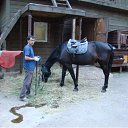 ���� �������, �����������, 62 ���� - ��������� 29 ������ 2017 � ������ ��������� -������ ����.�