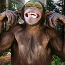 ���� �������, �����, 52 ���� - ��������� 26 ������ 2017 � ������ ���������ɻ