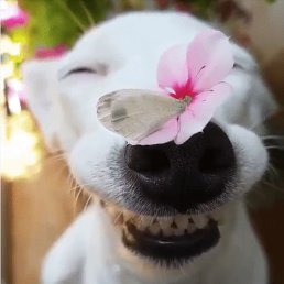 ���, �����-���������, 58 ���