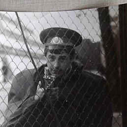 ��������, ������� ����, 67 ���