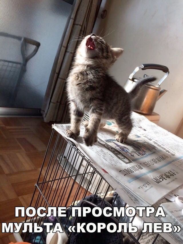    :D - 31  2017  23:32