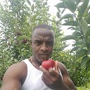 ���� David, ������ - ��������� 10 ������ 2017