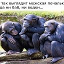 ���� ��((((�)))), ������ - ��������� 3 ������� 2017 � ������ ���� ����������