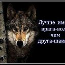���� Lonely Wolf, �����������, 45 ��� - ��������� 15 ��� 2017