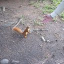 ���� ��������, �����-���������, 51 ��� - ��������� 10 �������� 2017 � ������ ��������� 01.08.2017�