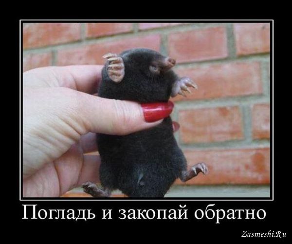 About different ! - 17  2017  23:28