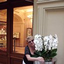 ������ �� ������� ���� ����������