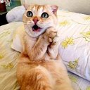 ���� �arina, ������� - ��������� 6 ������ 2017 � ������ ������ ��������