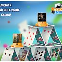 ���� Bosanac, �������, 42 ���� - ��������� 15 ������ 2017 � ������ �������� �������-�������