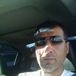 �����, �����-���������, 44 ����