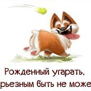 ���� ��������, �����-��������� - ��������� 3 ������ 2017 � ������ ������ ��������