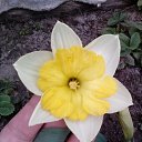 ���� �������, ������, 58 ��� - ��������� 30 ������ 2017 � ������ ���������� �����