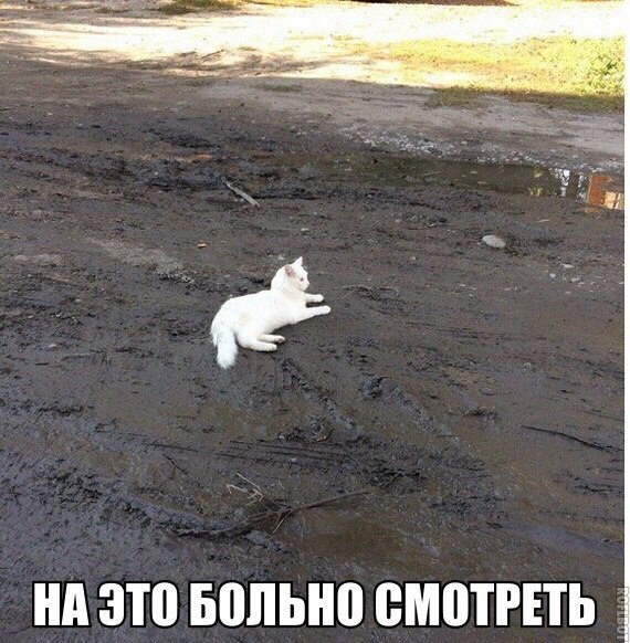   - 14  2017  07:43