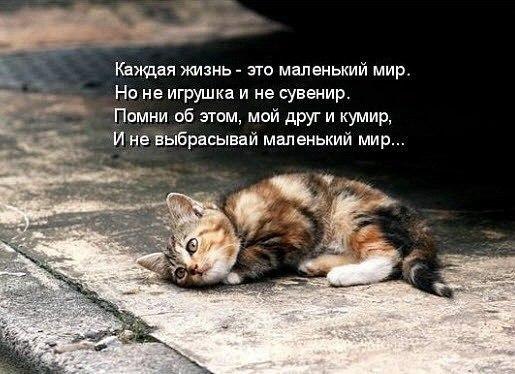 ***Victoria Viktorovna*** - 24 ���� 2017 � 01:26