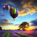 ���� ���������, ������ - ��������� 15 ���� 2017 � ������ �Beautiful�
