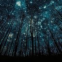  , -, 41  -  23  2017   