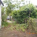 ���� �������, ���������, 40 ��� - ��������� 20 ���� 2017 � ������ ������ ��������