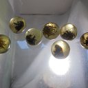 ���� ����, ����������� - ��������� 6 ���� 2017 � ������ ���� ����������