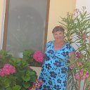  , , 64  -  14  2017       2017