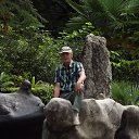 ���� ����, �������, 66 ��� - ��������� 20 �������� 2017 � ������ ��������-������ ����.�