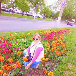 ���� �������, ������, 55 ��� - ��������� 26 ���� 2017