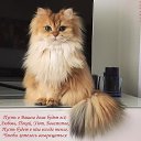 ���� �����, ���������, 63 ���� - ��������� 16 ���� 2017 � ������ ���� ����������