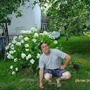 ���� �������, ���� - ��������� 7 ��� 2017 � ������ ���� ����������