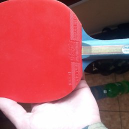 ���� ��������, ����, 48 ��� - ��������� 5 ��� 2017