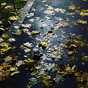 ���� Tatyana, ���������� - ��������� 15 ������� 2017 � ������ ������ ��������