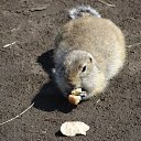 ���� ����, ����������, 57 ��� - ��������� 29 ������ 2017 � ������ ������ 2017�