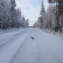 ���� Vladimir, ��������, 63 ���� - ��������� 5 ���� 2017