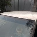 ���� ����, ������, 37 ��� - ��������� 13 ��� 2017 � ������ ���� ����������