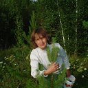 ���� �������, ������������, 55 ��� - ��������� 24 ���� 2017 � ������ ���� ����������