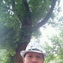 ���� ��������, ���������, 55 ��� - ��������� 19 ��� 2017 � ������ ���� ����������