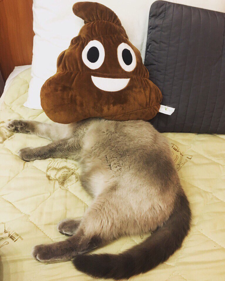    ,  ,  