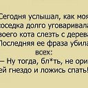  Vidmantas, , 52  -  7  2017    