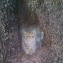 ���� �������, ������, 54 ���� - ��������� 19 ������ 2017 � ������ ���� ����������