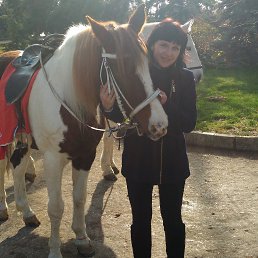 �����, , �����������