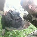 ���� �������, �������-��������� - ��������� 12 ���� 2017 � ������ ���� ����������