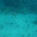 ���� ��������, �����, 57 ��� - ��������� 19 ������� 2017 � ������ ������� 2017�