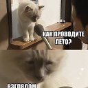 ���� ��������, ��������� - ��������� 13 ������� 2017 � ������ ������ ��������