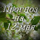���� ������, ���������, 55 ��� - ��������� 11 ��� 2017 � ������ ������ ��������