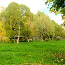 ����� 2017 �� ������� �2017�