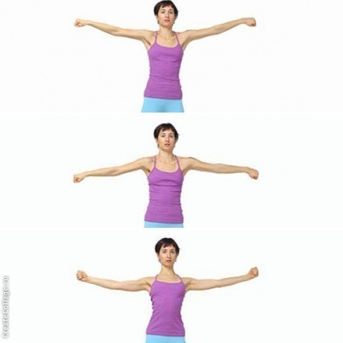    :    .        ... - 3