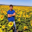 ���� ������, ������, 39 ��� - ��������� 1 �������� 2017 � ������ ���� ����������