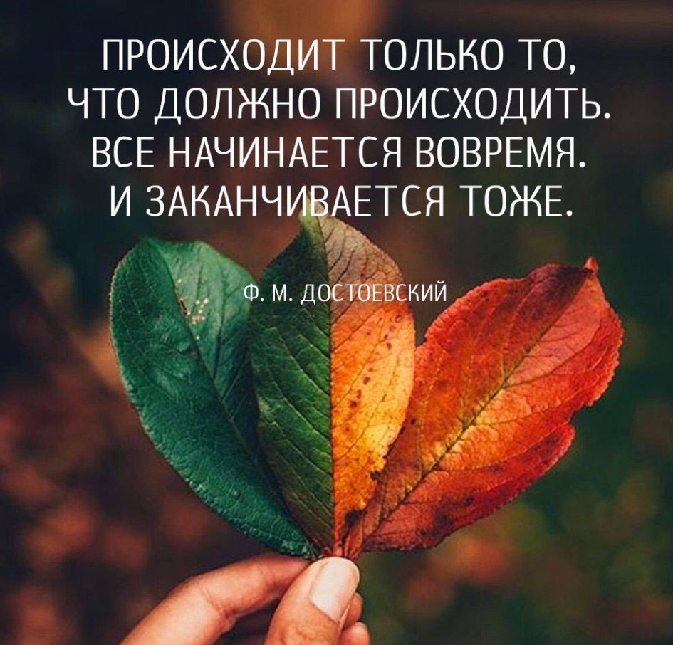 Все закончилось хорошо. Когда любовь проходит цитаты. Всегда все заканчивается и хорошее и плохое. Все всегда заканчивается хорошо. Начать новые отношения не закончив старые.
